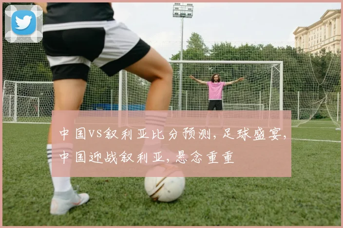 中国vs叙利亚比分预测,足球盛宴,中国迎战叙利亚,悬念重重