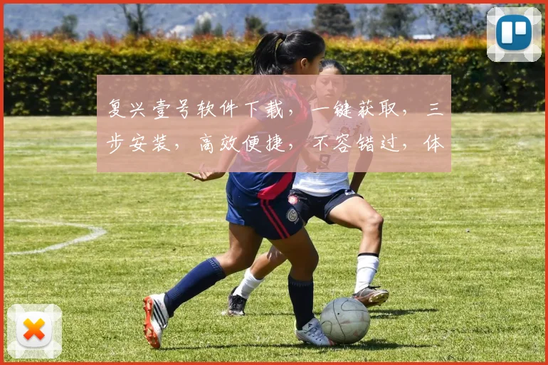 复兴壹号软件下载，一键获取，三步安装，高效便捷，不容错过，体验非凡