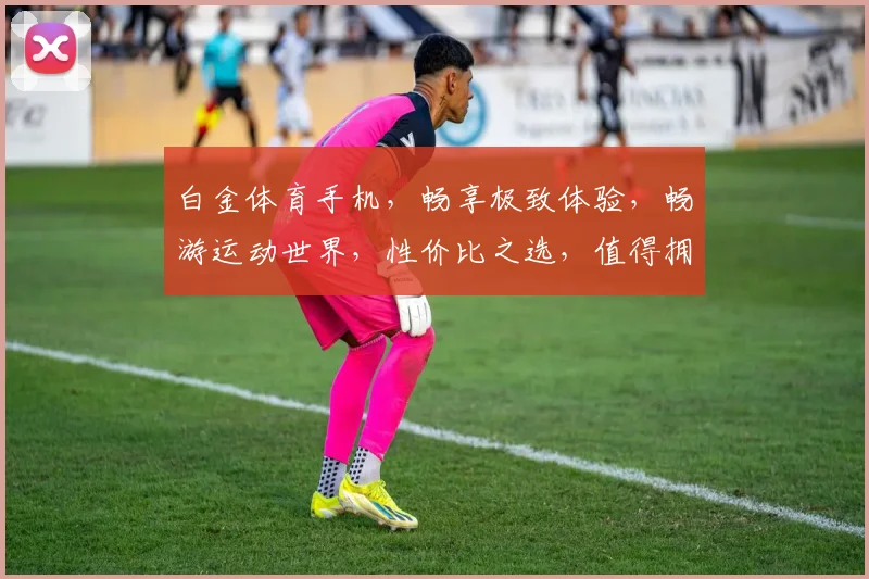 白金体育手机，畅享极致体验，畅游运动世界，性价比之选，值得拥有